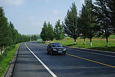 《艾尔登法环》新动图发布 狼人勇士仰天长啸